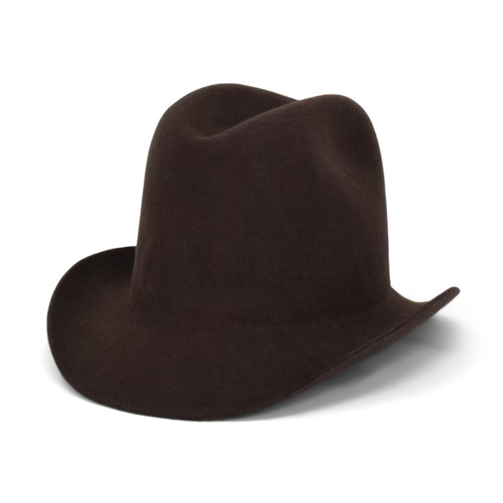 Chocolate brown cowboy hat 